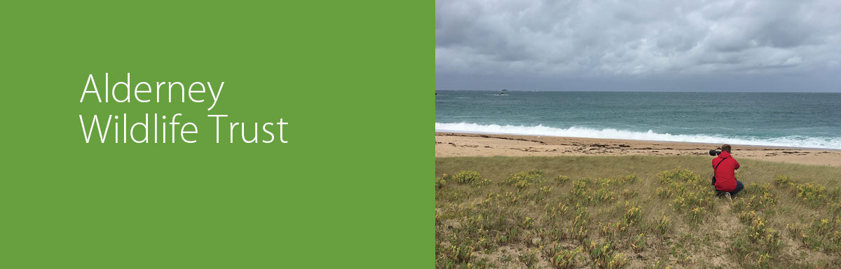 20th Anniversary of Alderney Wildlife Trust